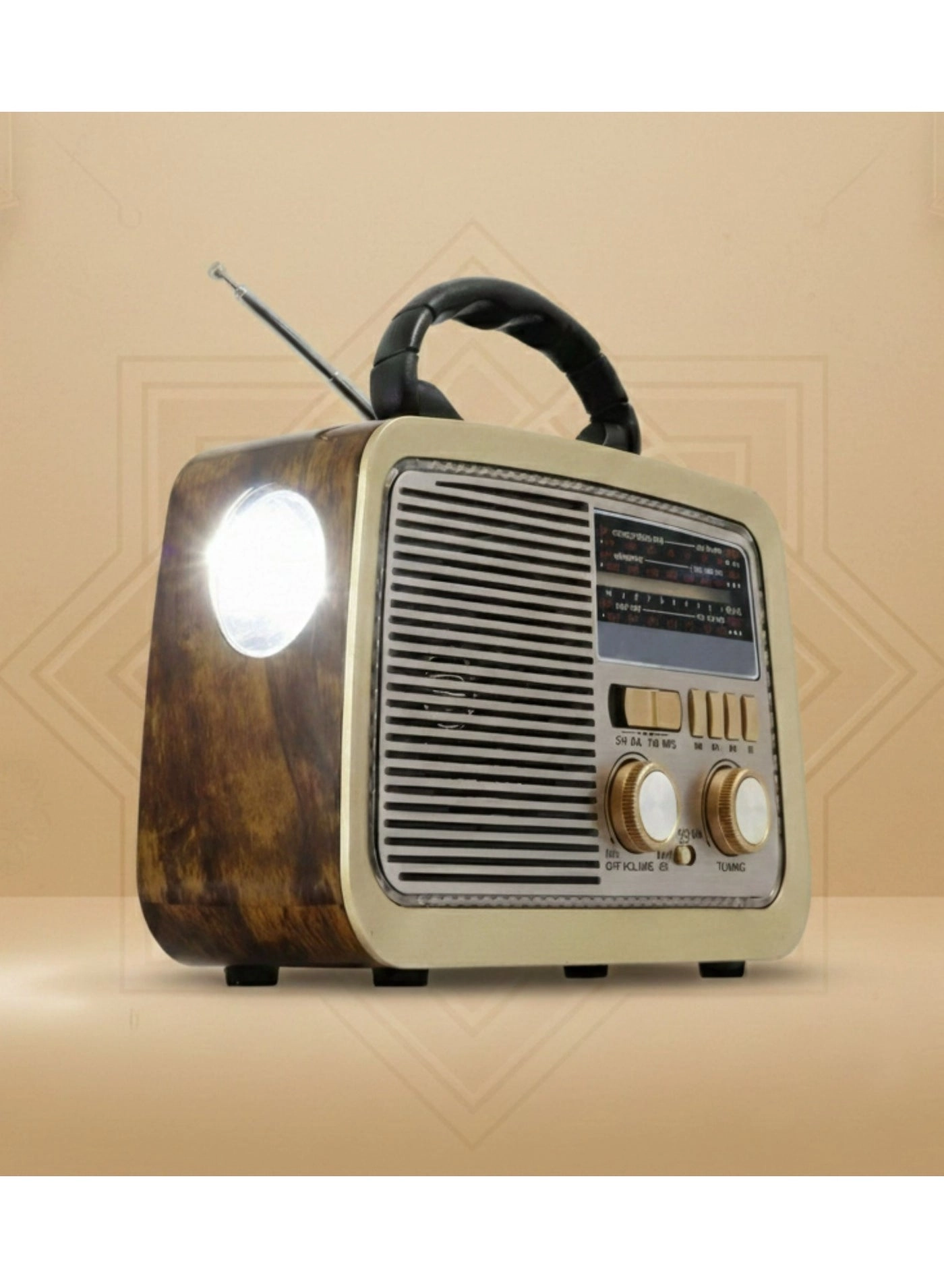 Bluetooth Radio Speaker - FM