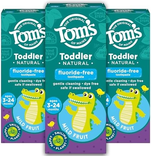 Tom's of Maine Fluoride-Free Toddler Training Mild Fruit Toothpaste 3-24 months 1.75 oz. 3-Pack