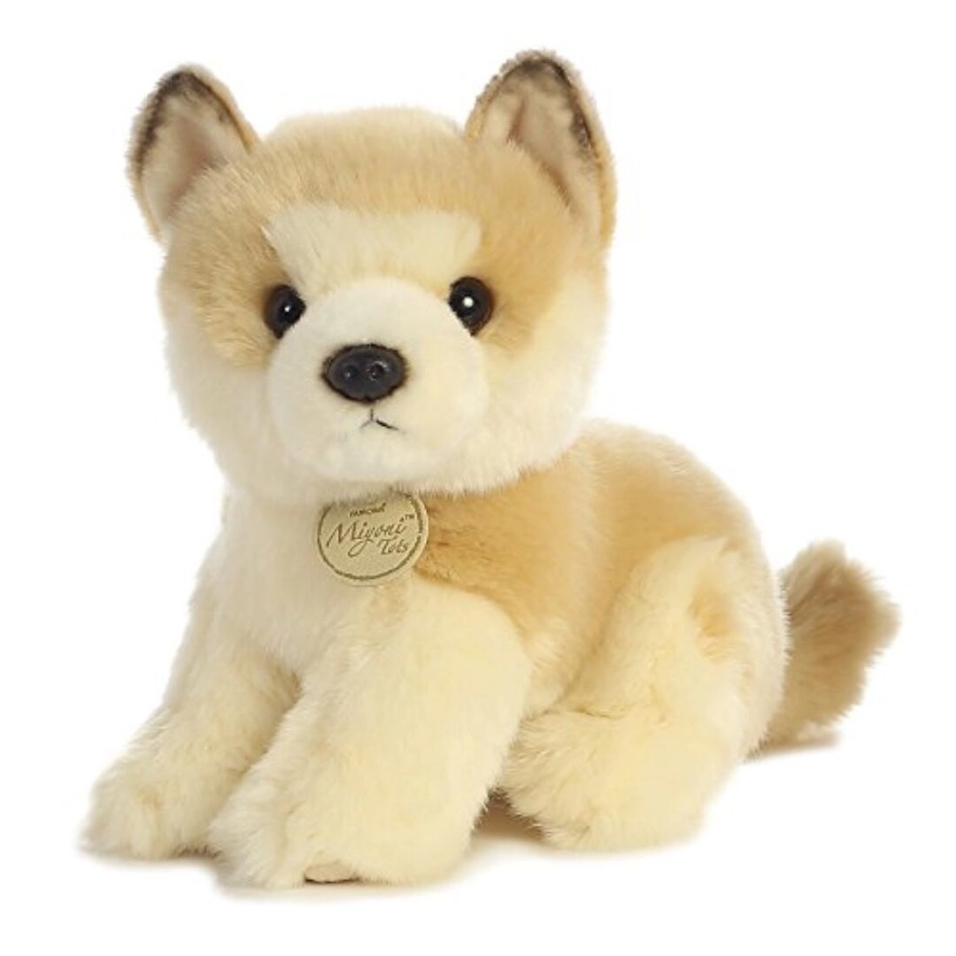 Aurora Miyoni Akita Puppy