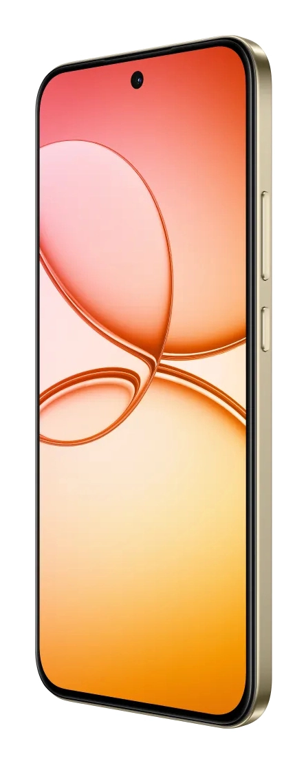 15 Pro - 12 GB 256 GB