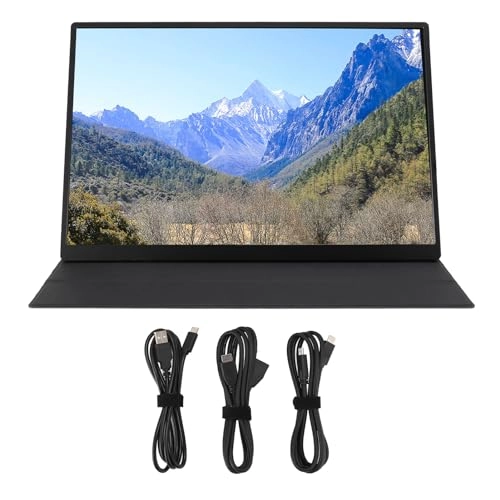 Portable Monitor - Denashbcx40sagz5 16in 2560 x 1600P