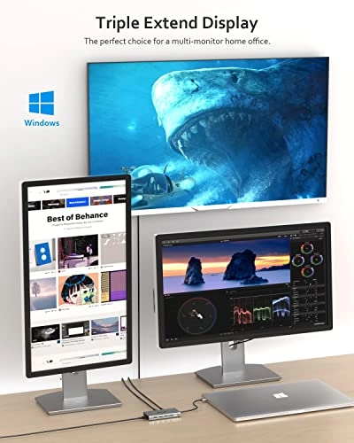 USB C Hub - 12 in 1 2 HDMI DP 100W PD