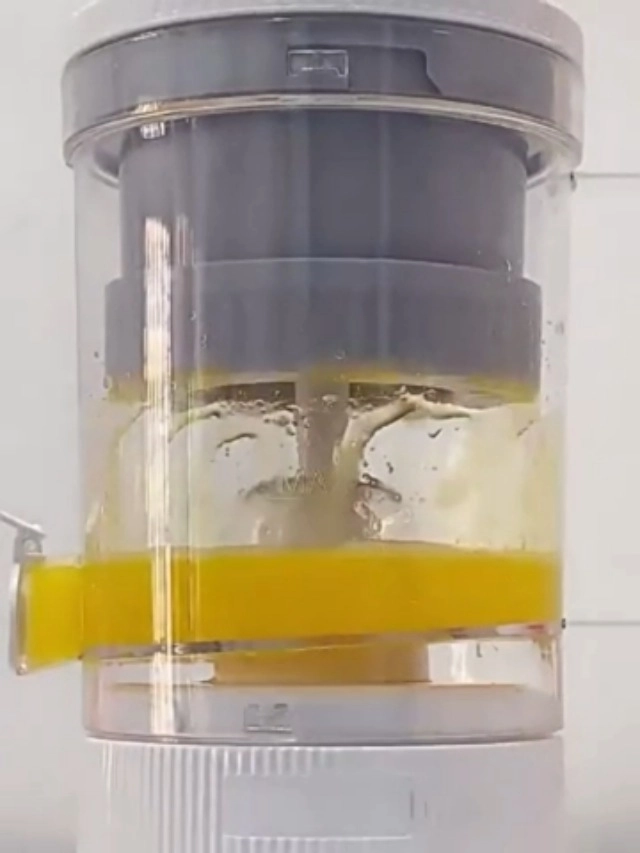 Electric Citrus Juicer - 80W 200ml