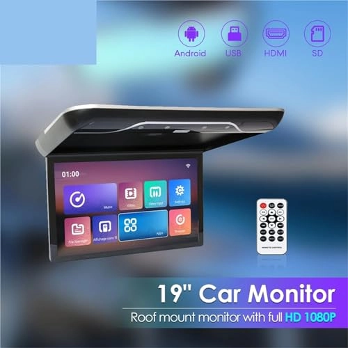 Roofmount LCD Monitor - 19in