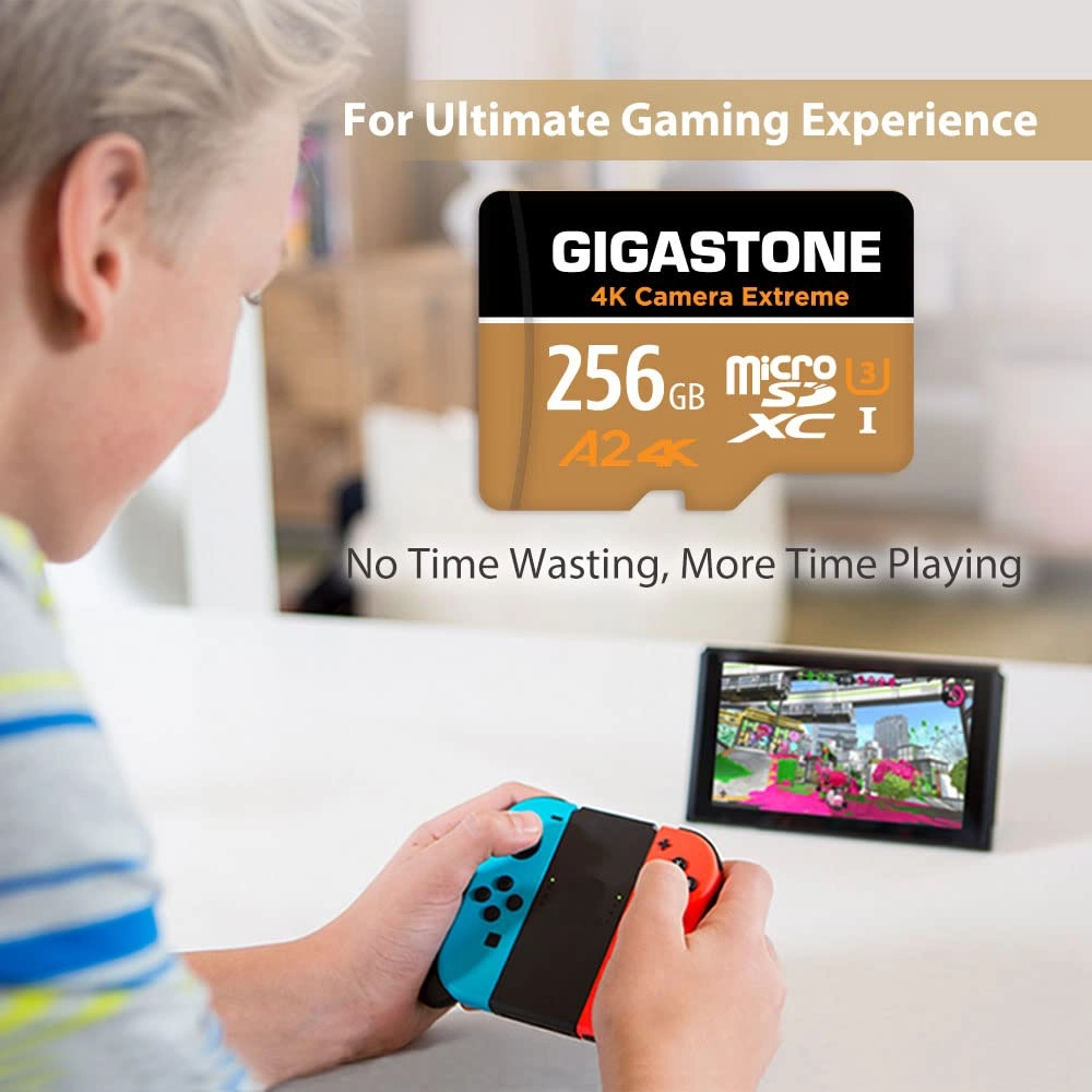 Micro SD Card - 256GB