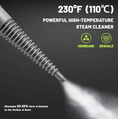 steam cleaner - 3.5E+2 Milliliters