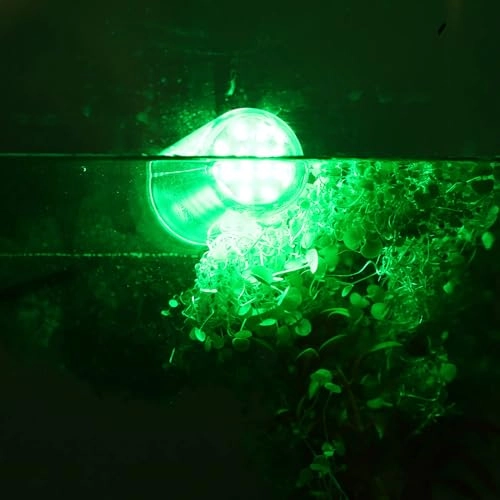 Fishing Light - 5m