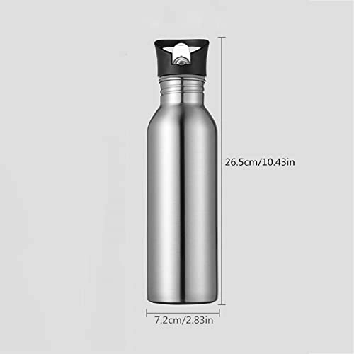 Kettle Sports Outdoor Straw Water Bottle 750 ml