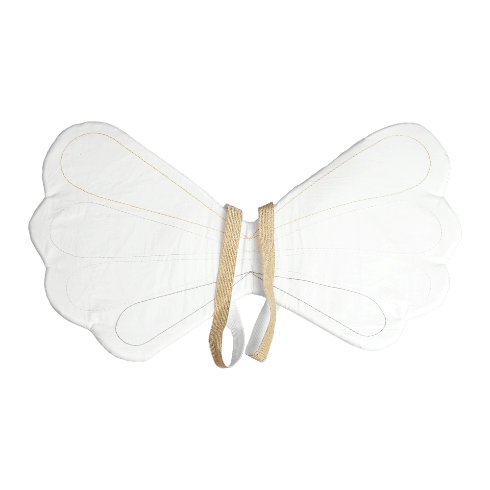 Rainbow Fairy Wings & Natural Wand - 2pcs Suitable for 3 to 6 years