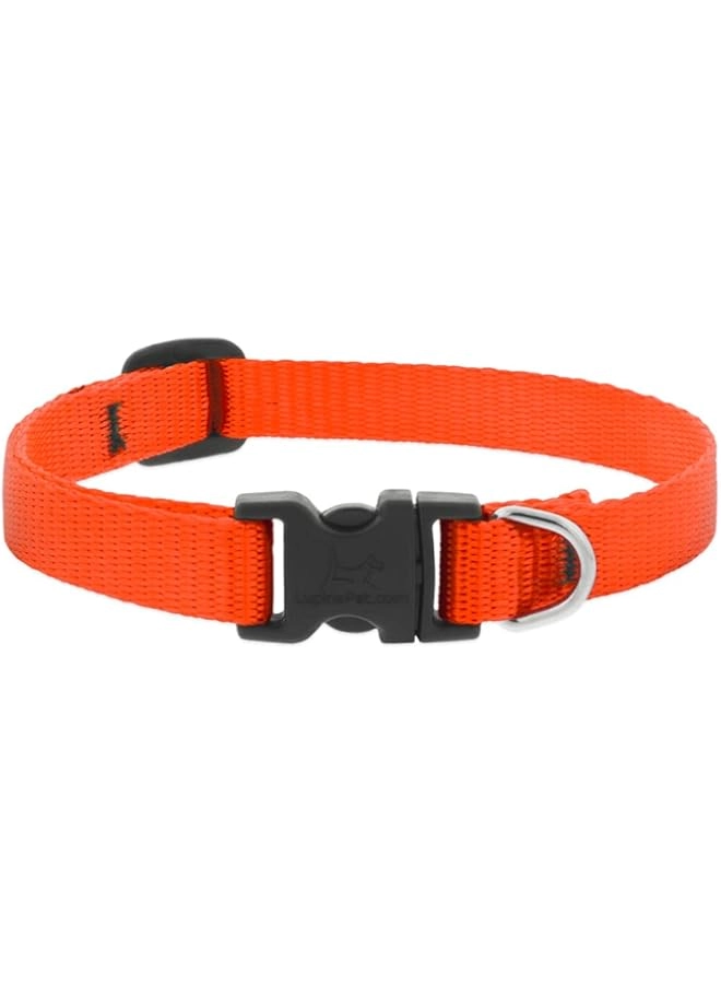 Adjustable Collar - 1/2″ (Width) 8-12″(Neck) Small Dogs