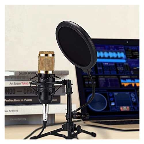ss1/i46574 USB Microphone
