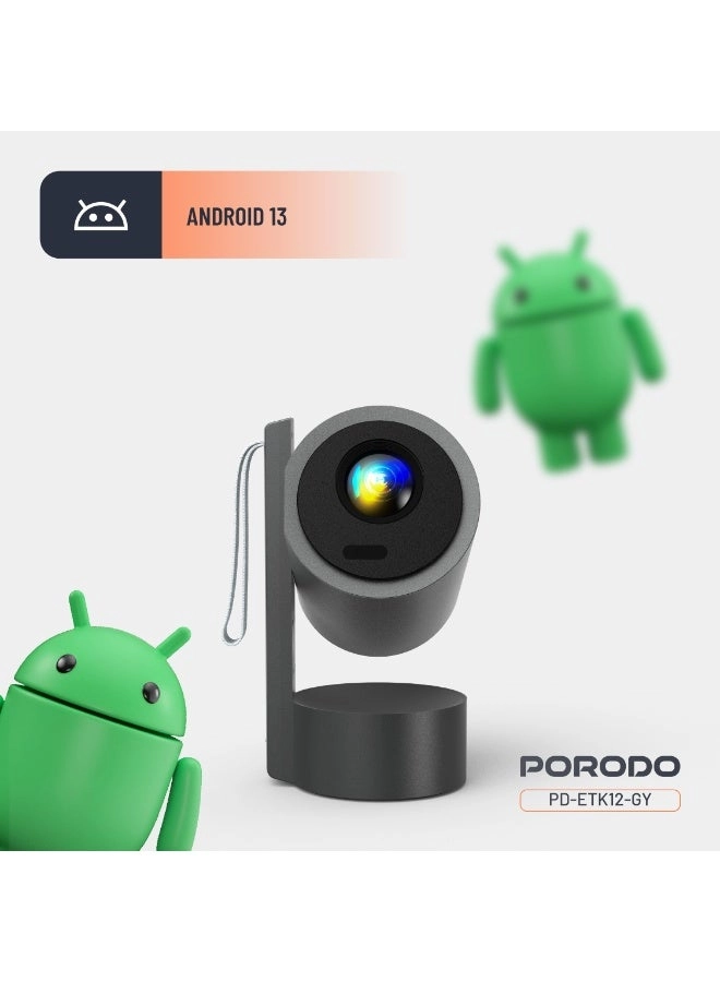 PD-ETK12-GY 250 ANSI brightness