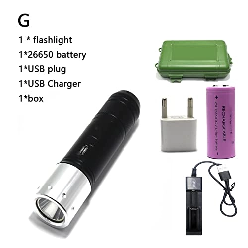 Professional Submersible Light - 4000 Lumens IPX8