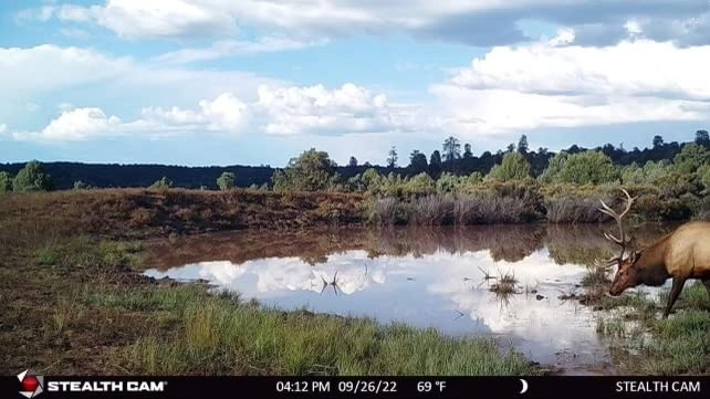 Browtine - 18 megapixel