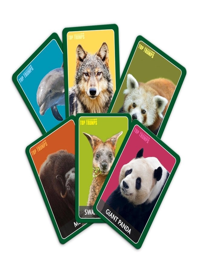 Awesome Animals - Card Game