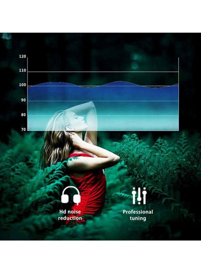 HD300 Wireless Headphone