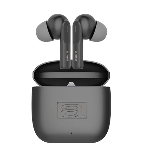 EBTW-200 Wireless Headphone