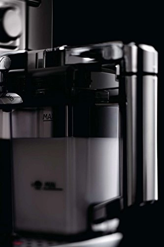 Accademia Fully Automatic & Milk RI9781