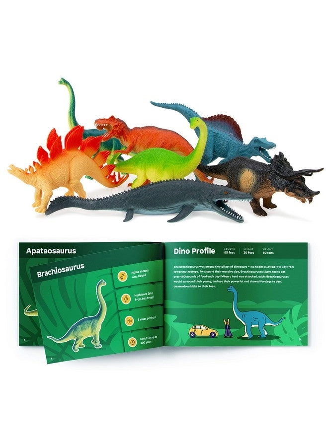 Dinosaur Figures - Educational Booklet 14 pcs