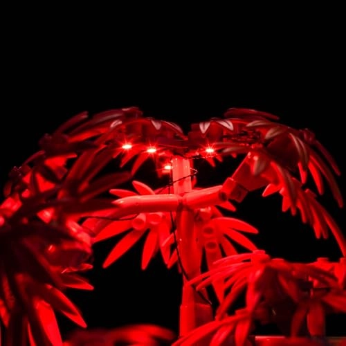 10348 Japanese Red Maple Bonsai Tree - Light Control Lighting Kit