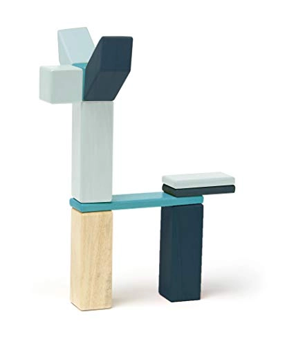 Magnetic Wooden Block - 42pcs