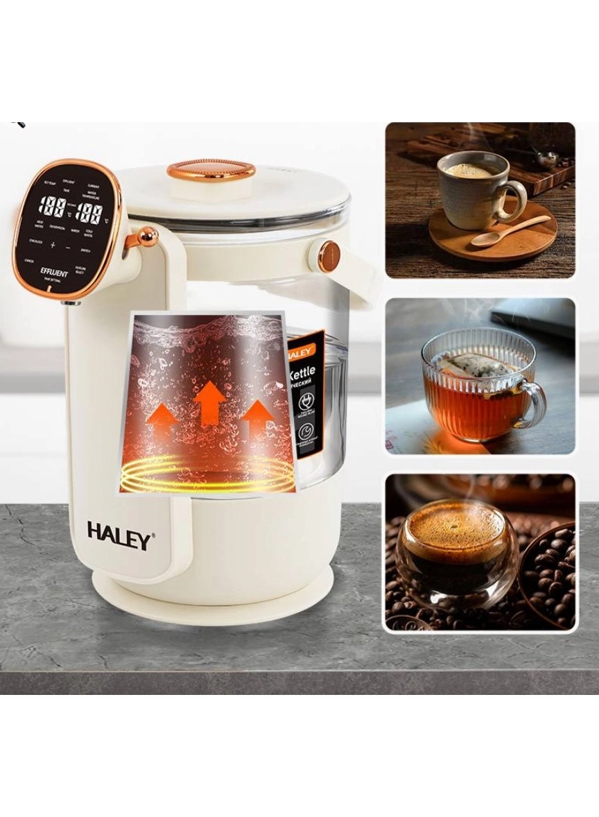 Haley Modern HY-8949