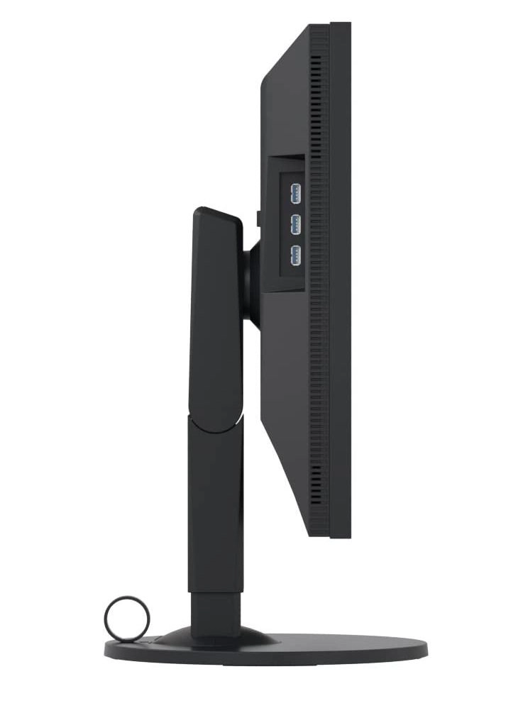 CS2420 - 31.5 inch 1920 X 1200 pixels