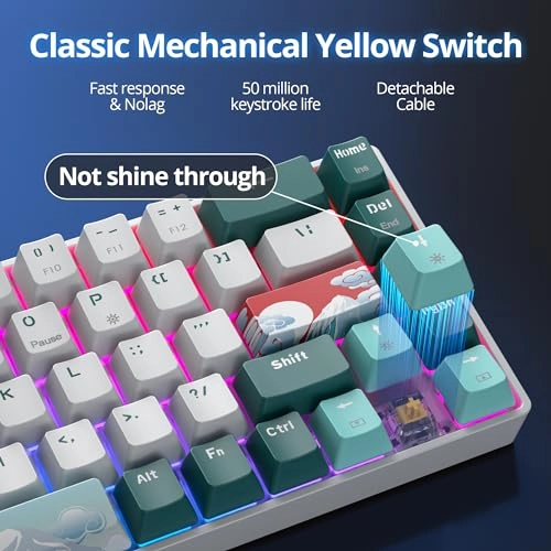 GT68 - Wired/Wireless