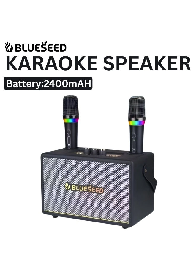 BLUESEED BS-401 - Two 100W