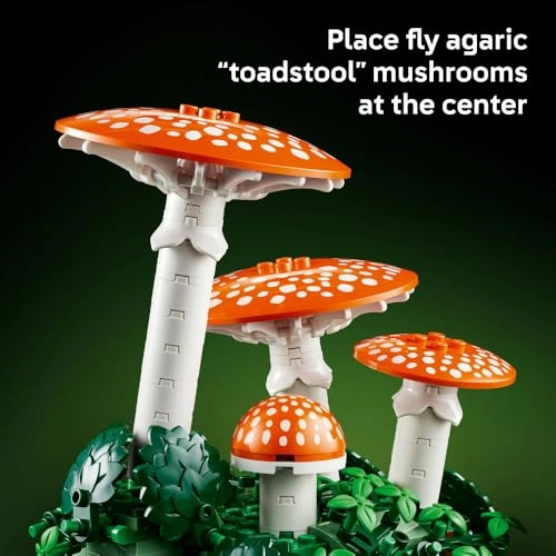 Woodland Mushrooms (11505) - Botanicals