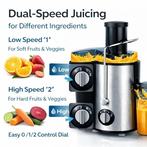 Dual Speed Electric Juicer - 500W 500 Milliliters