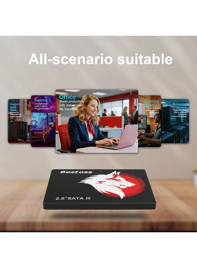 SATAIII SSD - 512GB 2.5-inch