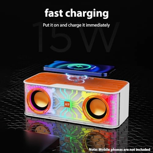 Karaoke Machine - 2 15W