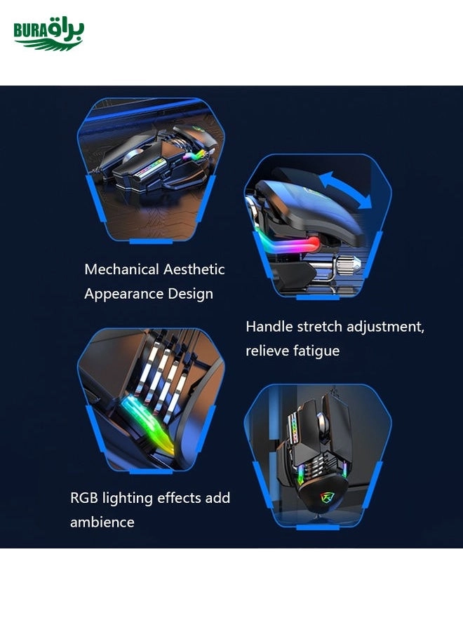 Y-FRUITFUL P3 - Wired