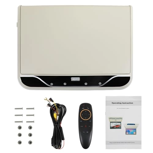 Roofmount LCD Monitor - 19in