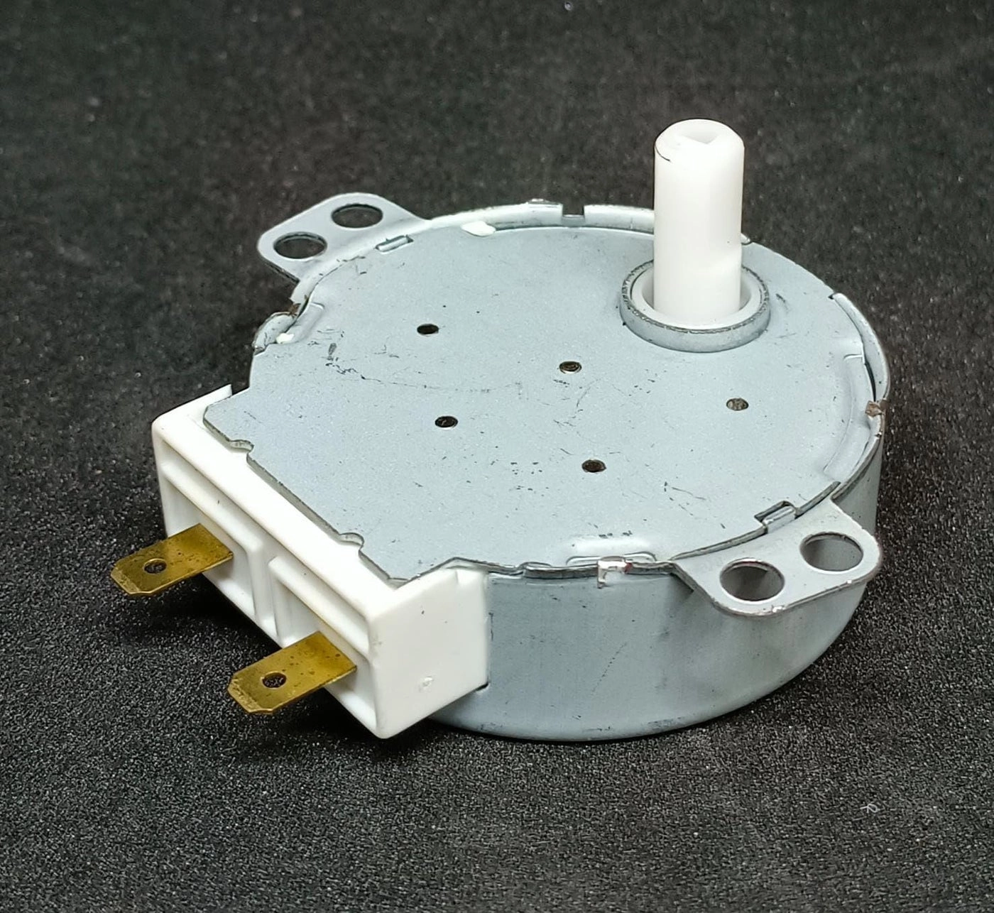 PARDZWORLD Turntable Motor