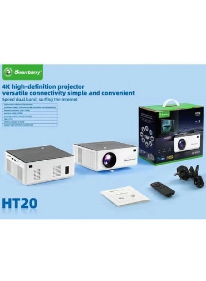 HT20 250 ANSI Lumens