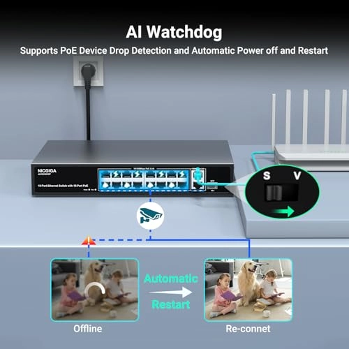 AI-FS1620GP - 16-ports