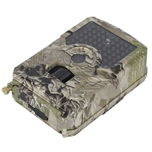 QinqINdhZh3qLh - 12MP