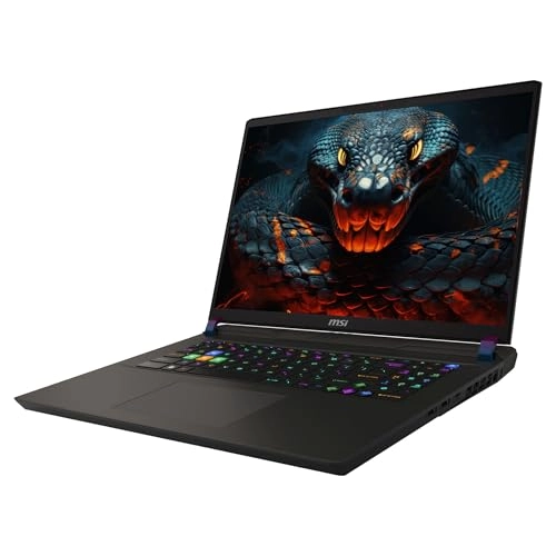 Vector 17 HX A14VHG - 17'' 1 TB 32 GB Intel Core i9-14900HX