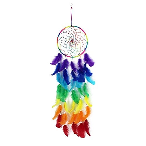 Dreamcatcher - Siderosphere, feathers, lines, wood beads.