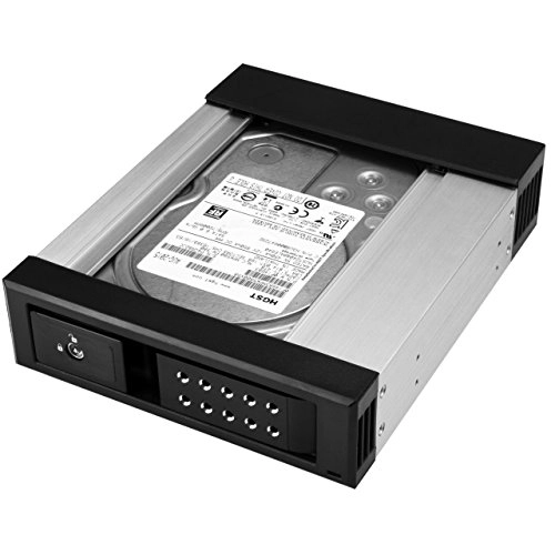 5.25" to 3.5" Trayless Hard Drive Hot Swap Bay - 1