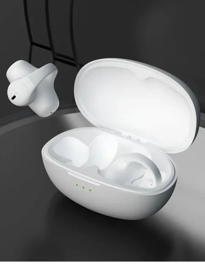 T306 Wireless Earphone