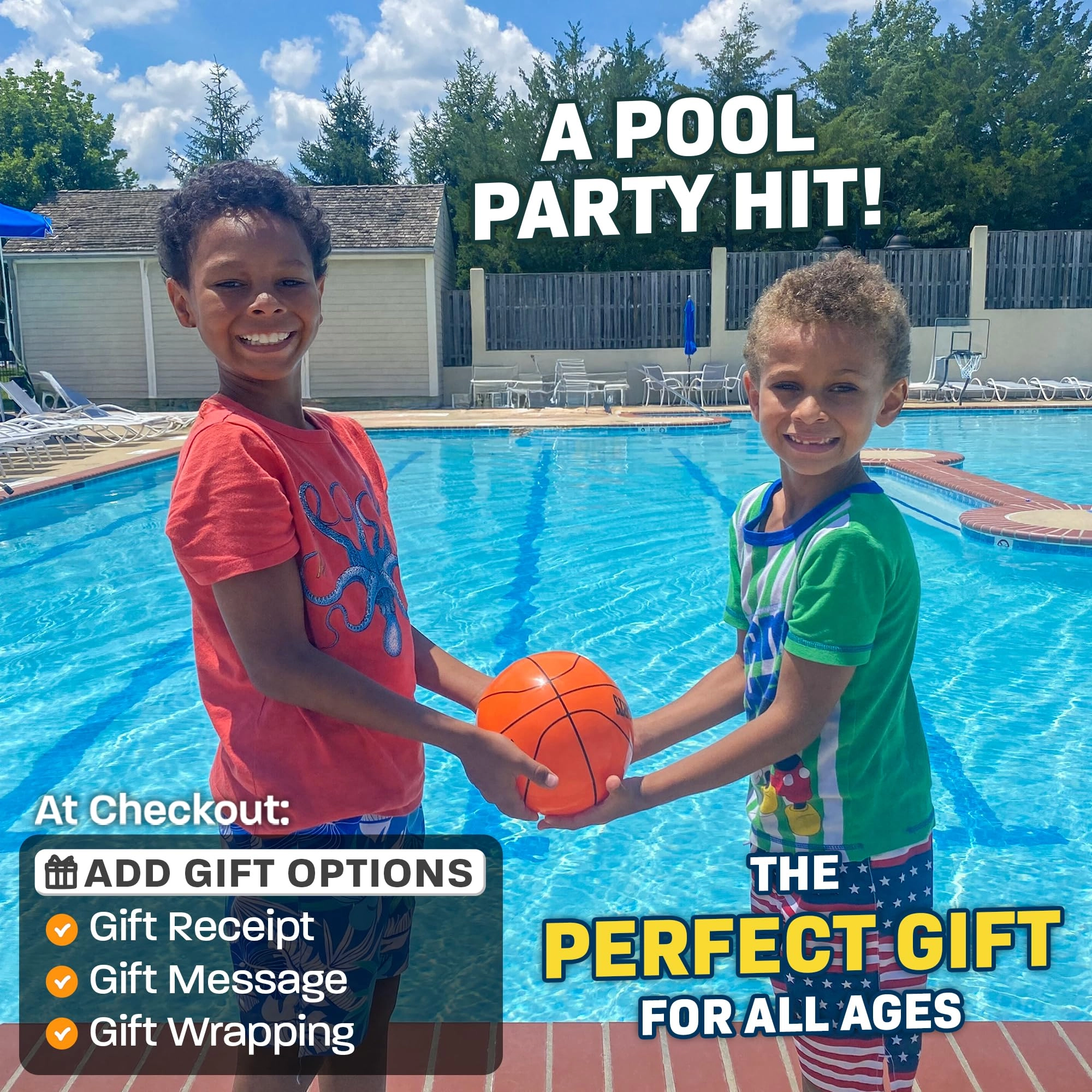 Aqua Dive Pool Ball