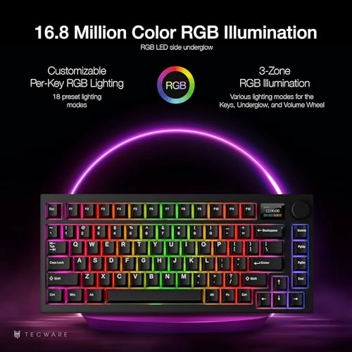 Spectre - BT USB-C 2.4 Hz