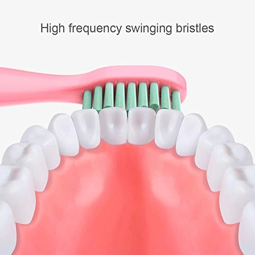 Sonic electric toothbrush - USB rechargeable 6 modes 4 brush heads