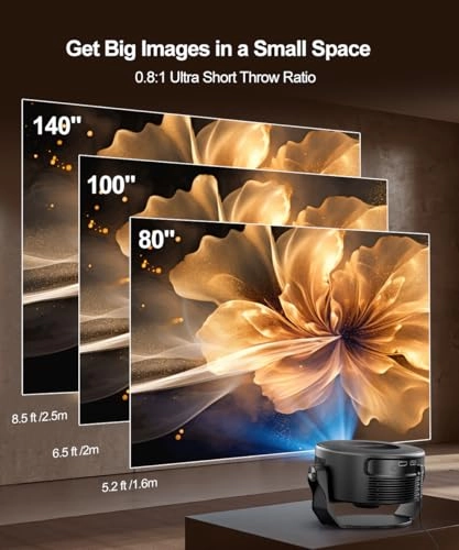 Freestyle HY300 200 ANSI