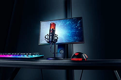 GXT 256 Exxo USB Microphone