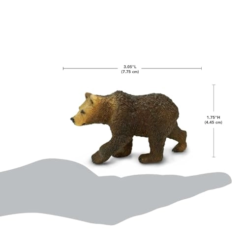 Grizzly Bear Cub
