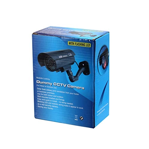 Dummy Dome CCTV - Outdoor